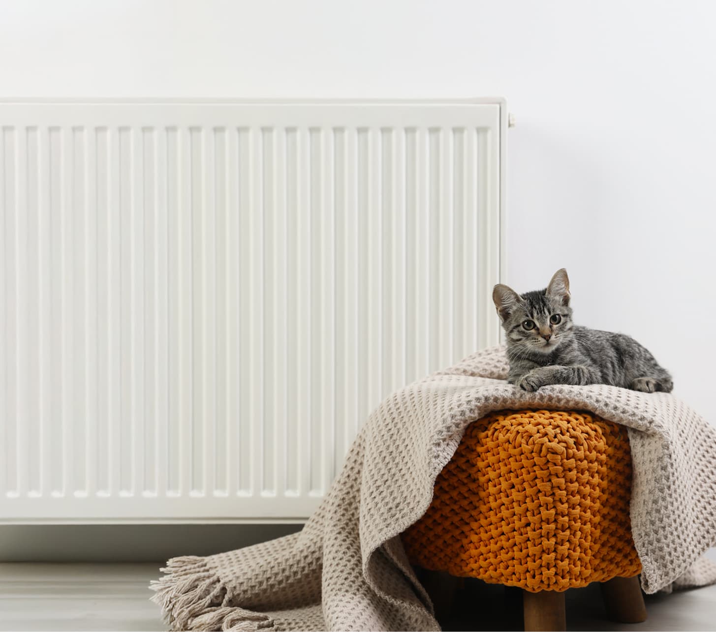 Cat relaxing by radiator
