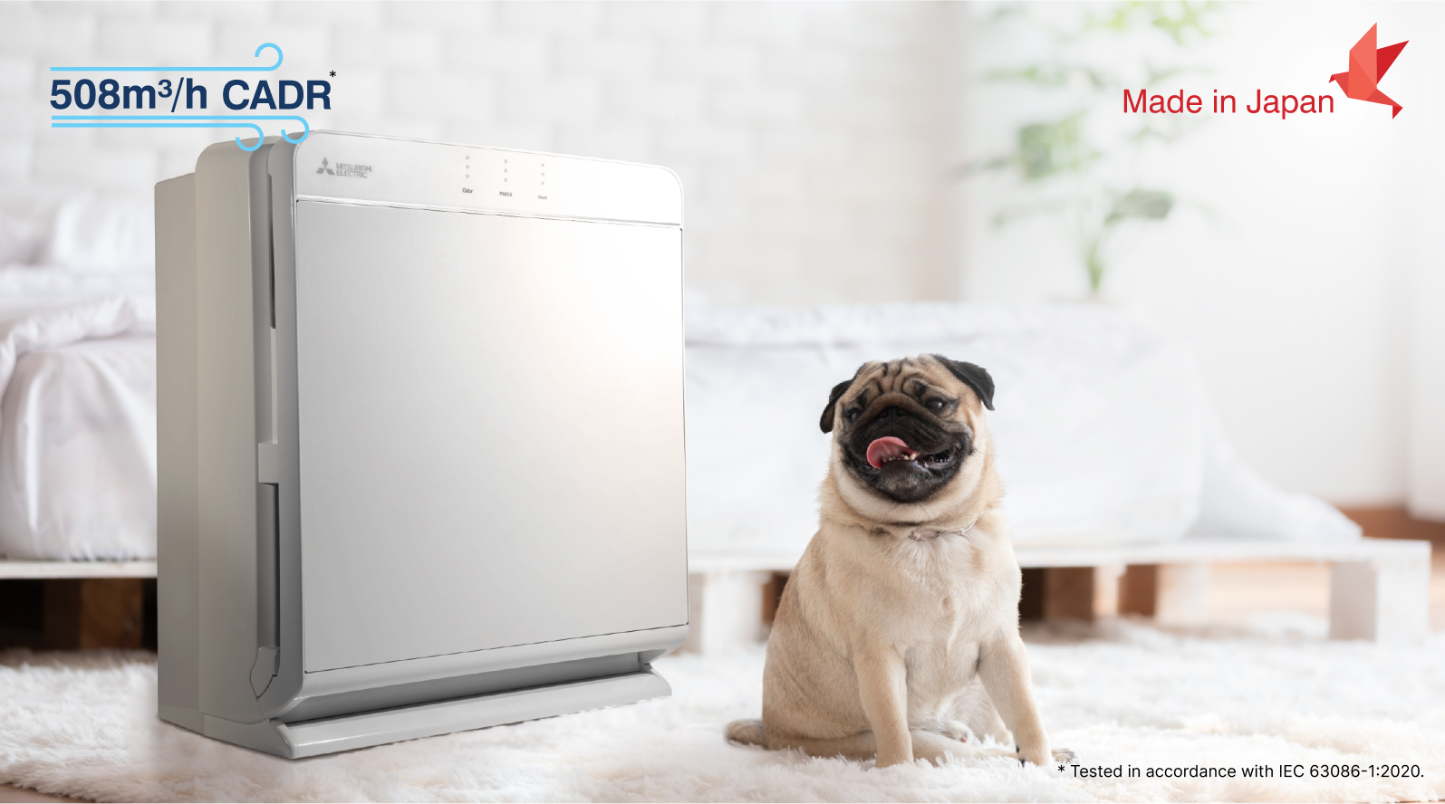 Pug sitting beside Air Purifier in bedroom